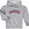 Harvard Hoodie FD28N